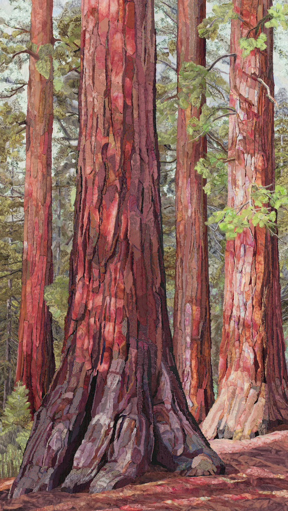 Sierra Redwoods